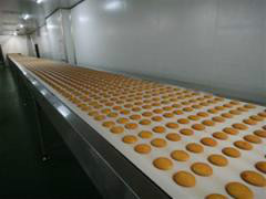 赛恒SH-51 威化饼干生产线@河北威化饼干食品机械@衡水饼干直接生产厂家